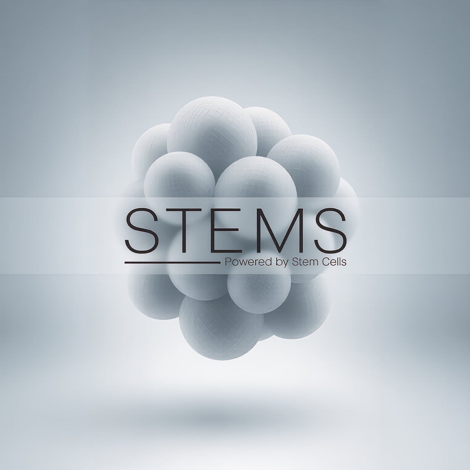 STEMS